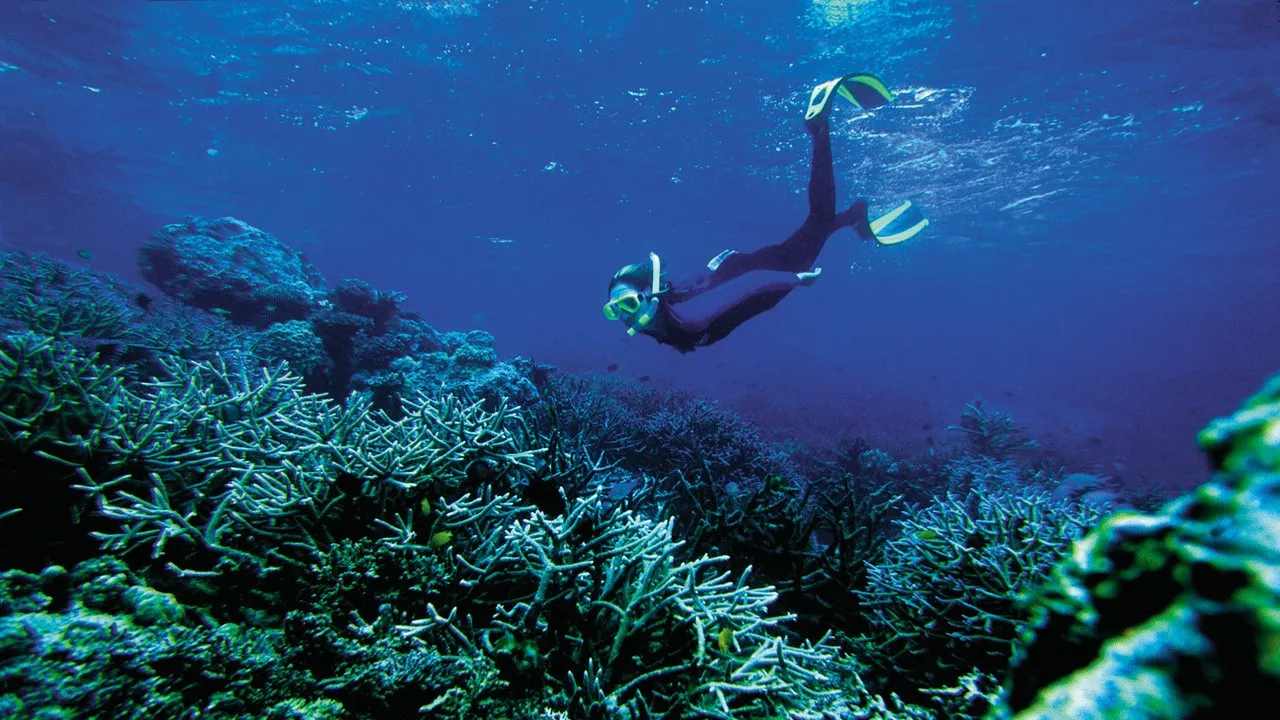 Pearl Diving Bahrain