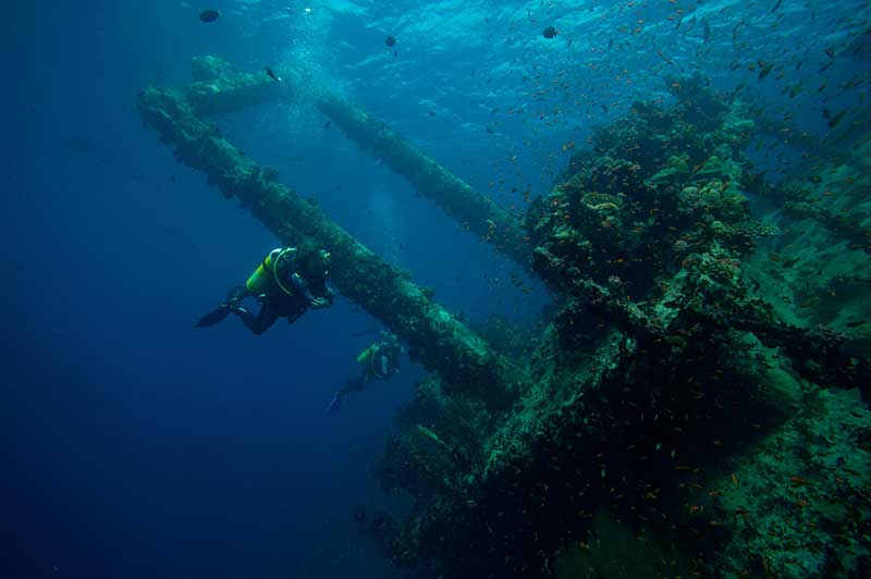 Zainab Wreck